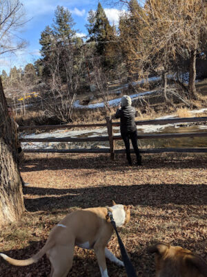 Kittredge Community Park