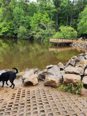 Concord Dog Park