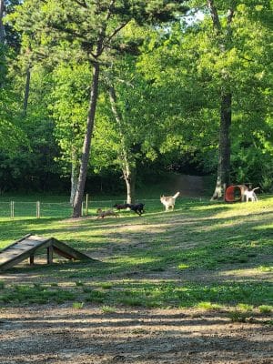 Dogwood Park