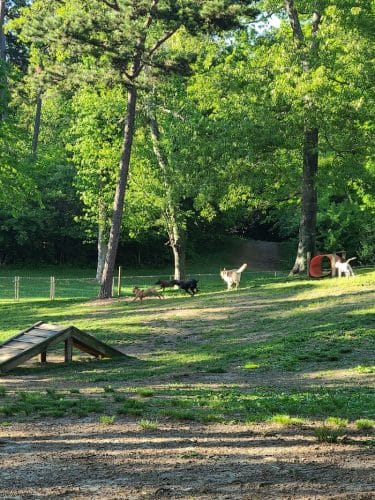 Dogwood Park