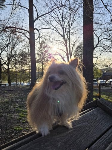 Dogwood Park