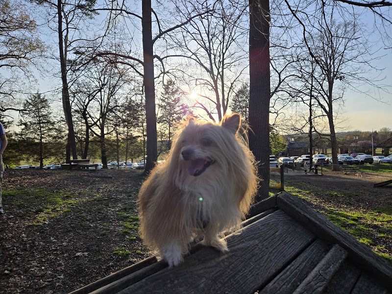 Dogwood Park - Knoxville, TN
