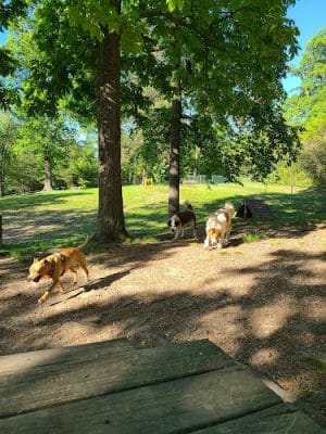 Dogwood Park
