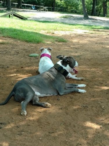 Dogwood Park