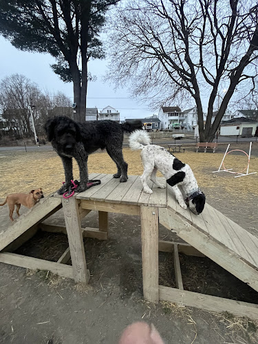 Kulpmont Dog Park