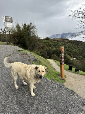 Cherry Canyon Park