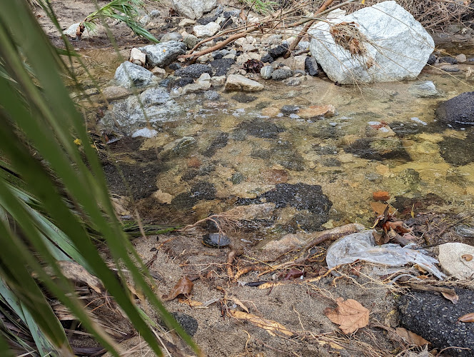 Flint Canyon Trail - La Cañada Flintridge, CA
