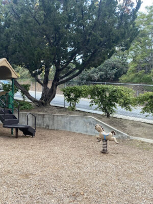 Glenhaven Park