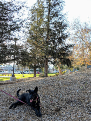 Olberz Park