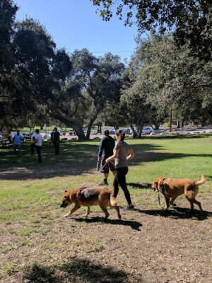 Crescenta Valley Community Regional Park
