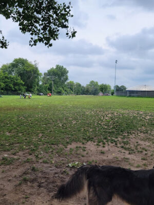 Houska Park