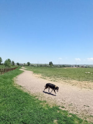 The Great Bark Dog Park
