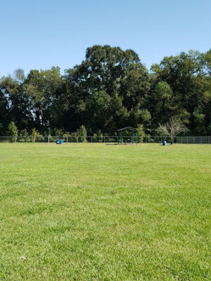 Brown Memorial Dog Park