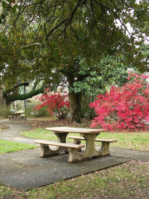 Veteran's Park at Pontiac Point