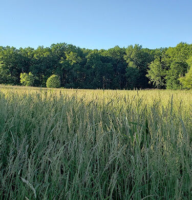 Rose Lake Wildlife Area - Parking Lot