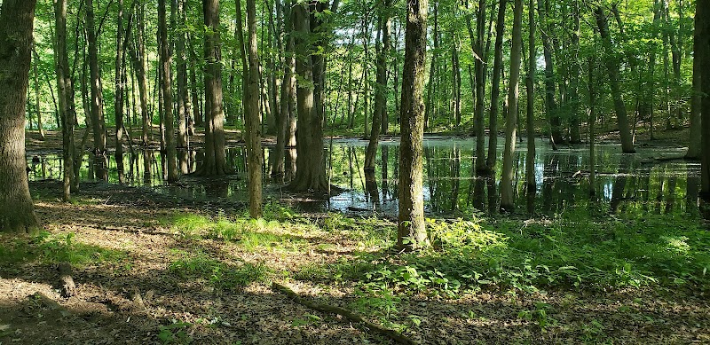 Rose Lake Wildlife Area - Parking Lot - Laingsburg,