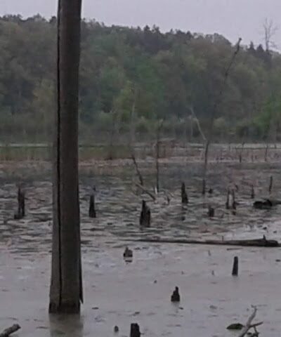 Rose Lake Wildlife Area - Parking Lot - Laingsburg,