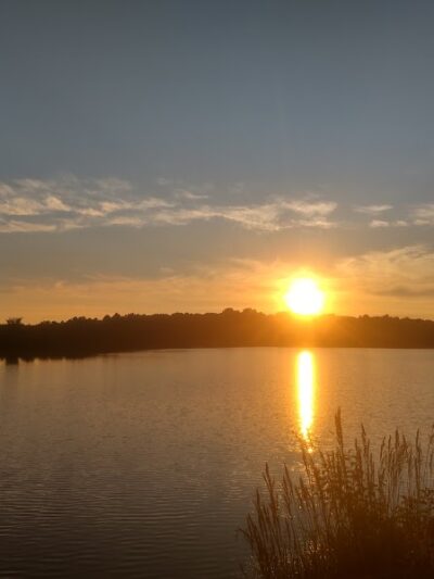 Sleepy Hollow State Park - Laingsburg,
