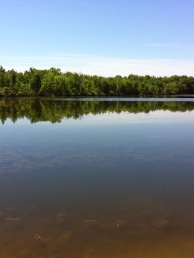 Sleepy Hollow State Park - Laingsburg,