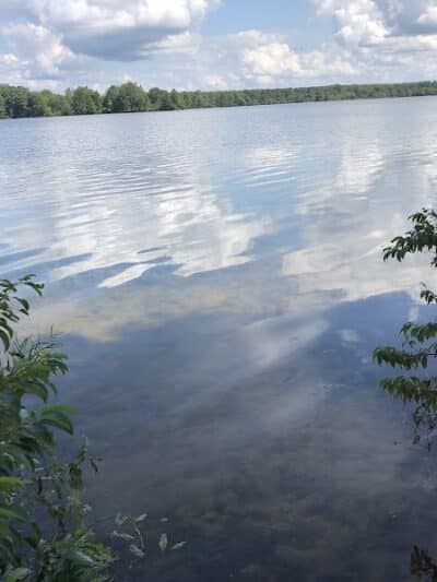 Sleepy Hollow State Park - Parking Lot - South East - Laingsburg,