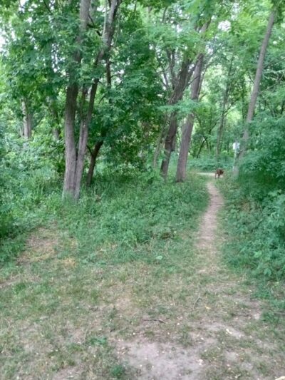 Sleepy Hollow State Park - Parking Lot - South East - Laingsburg,