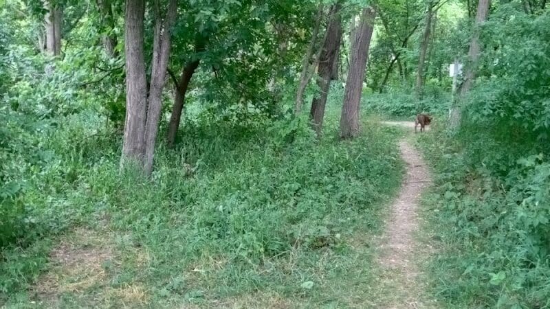 Sleepy Hollow State Park - Parking Lot - South East - Laingsburg,