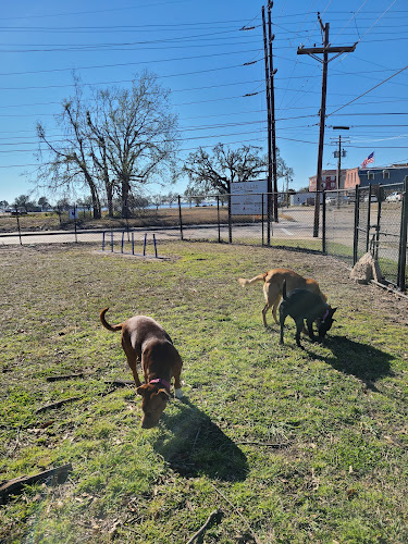 Bark Du Lac Dog Park