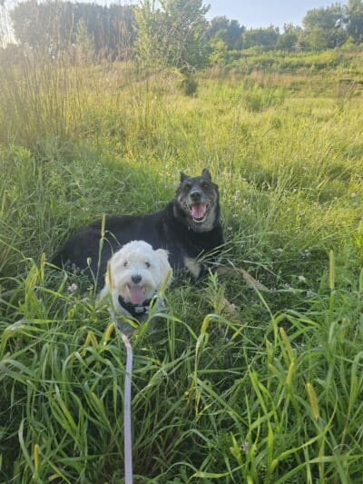 Elmo's Pup Park - Lake Elmo, MN