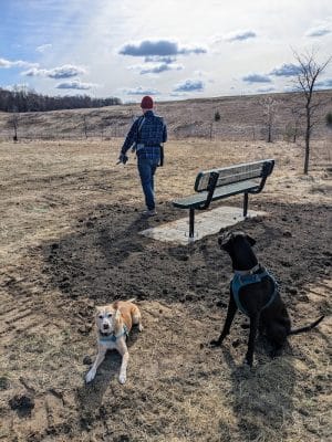 Elmo's Pup Park