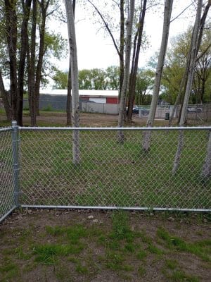 Elmo's Pup Park