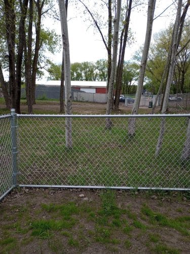 Elmo's Pup Park