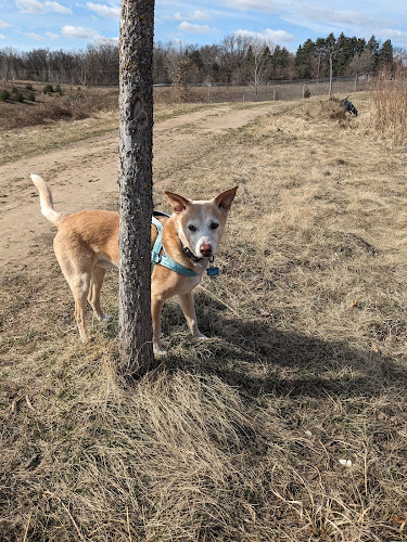 Elmo's Pup Park