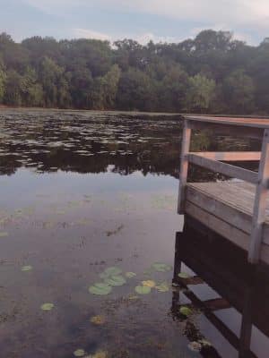 Lake Elmo Dog Park