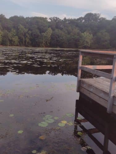 Lake Elmo Dog Park