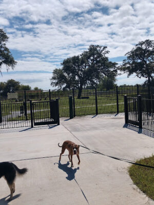 BASF Dog Park