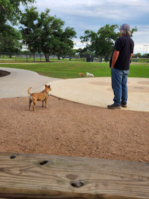 BASF Dog Park