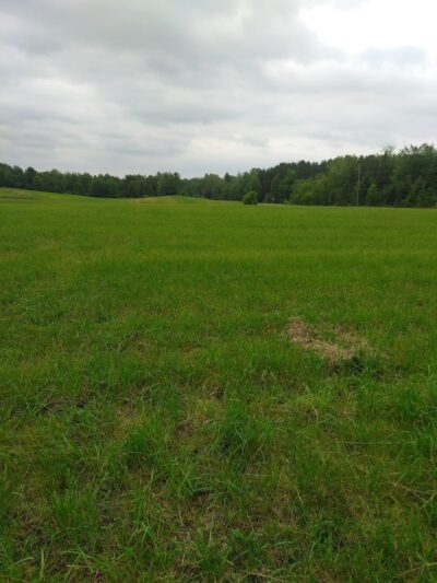 Letson Park - Lake, MI