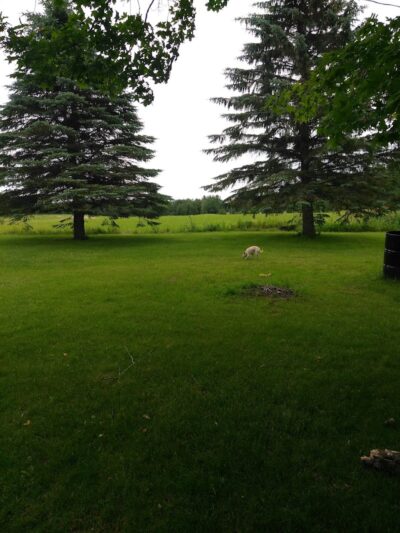 Letson Park - Lake, MI