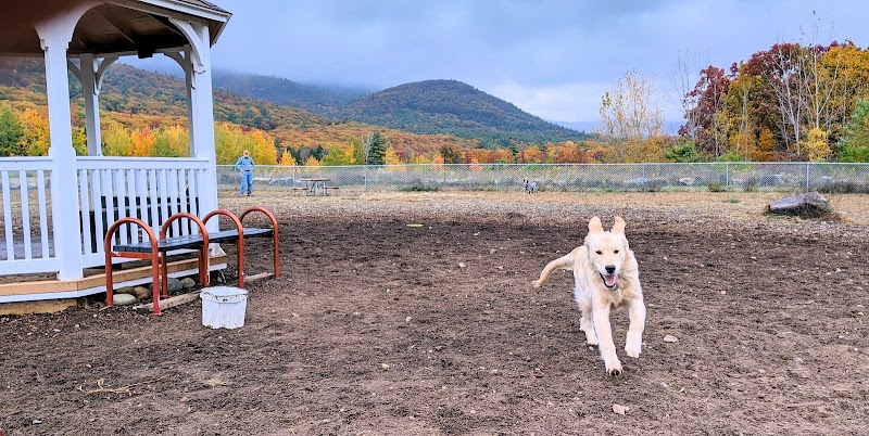 Lake George Dog Park - Lake Luzerne, MI