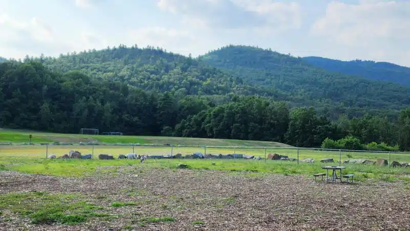 Lake George Dog Park - Lake Luzerne, NY