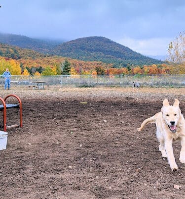 Lake George Dog Park
