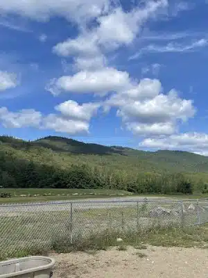 Lake George Dog Park - Lake Luzerne, NY