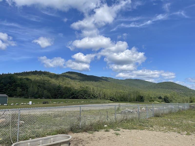 Lake George Dog Park - Lake Luzerne, NY