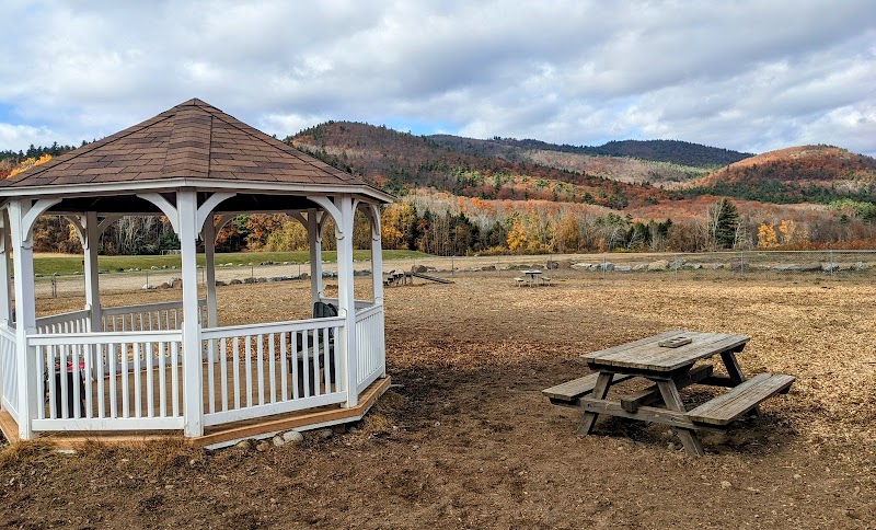 Lake George Dog Park - Lake Luzerne, NY