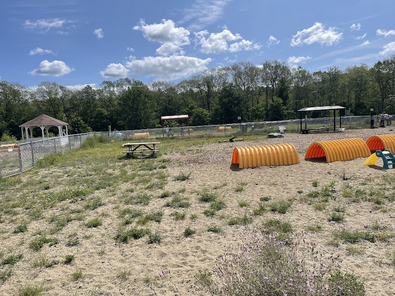 Lake George Dog Park - Lake Luzerne, NY