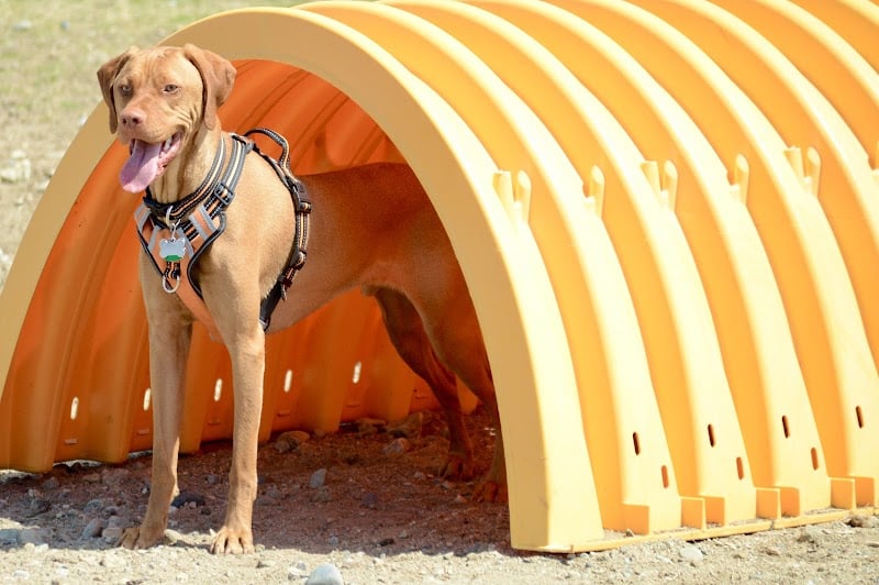 Lake George Dog Park - Lake Luzerne, NY