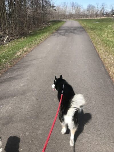 Jordan Lake Trail - Lake Odessa,