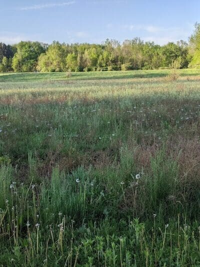 Jordan Lake Trail - Lake Odessa,