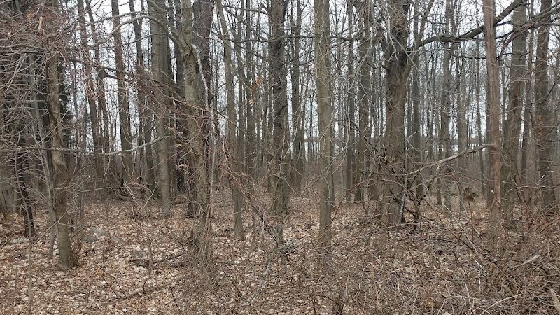 Jordan Lake Trail - Lake Odessa,