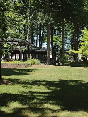 Lake Odessa Village Park